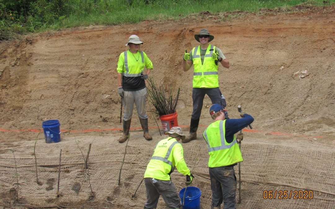 SynTerra’s stream restoration at Kiwi Creek